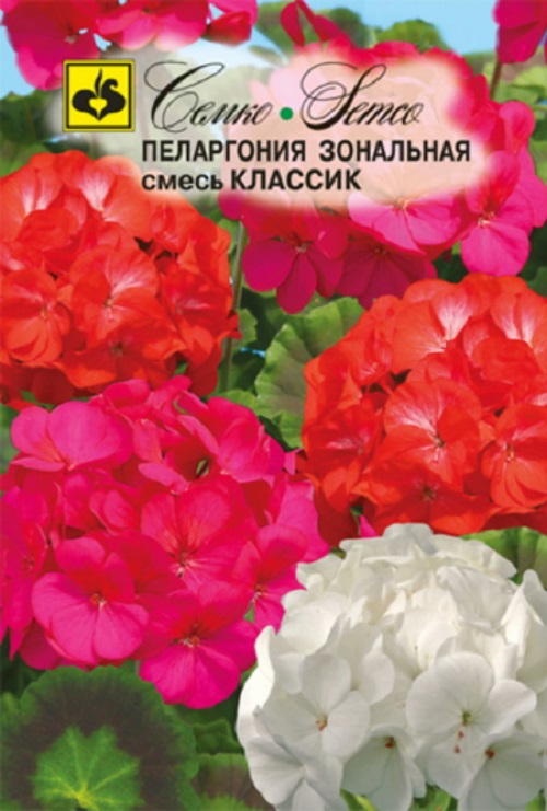 

Семена пеларгония Классик Семко Двулетние 62435 6 семян в упаковке
