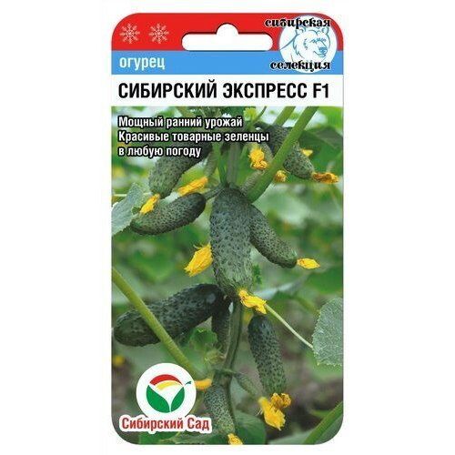 

Семена огурец Сибирский сад Сибирский экспресс F1 НК031698 1 уп.