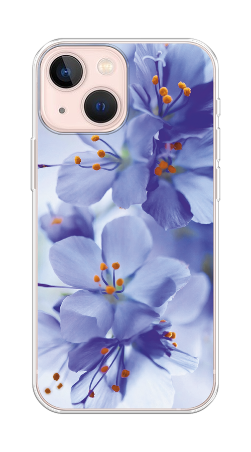

Чехол на Apple iPhone 13 mini "Фиолетовые цветки", Фиолетовый;синий, 14150-1