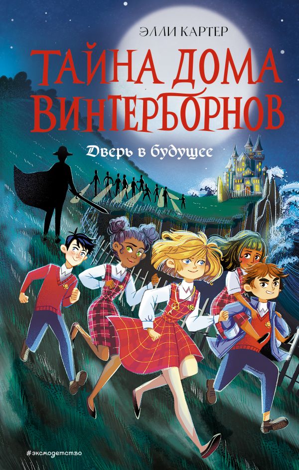 

Книга Тайна дома Винтерборнов. Дверь в будущее