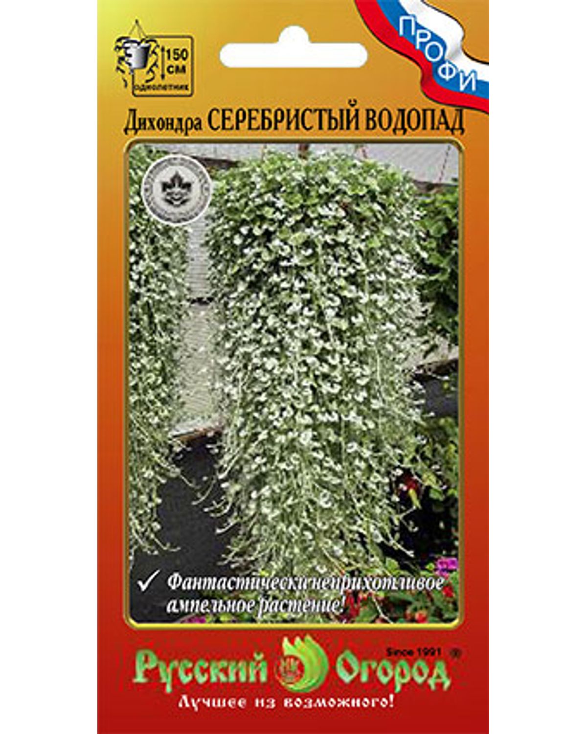 

Цветы Дихондра Серебристый водопад (5шт)