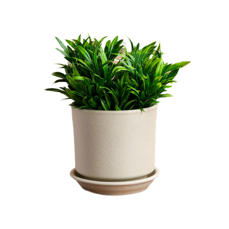 

Горшок для цветов "Мальва", крошка бежевая, 1.2 л