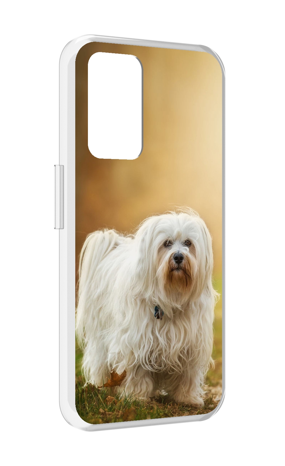 

Чехол MyPads гаванскии бишон для Realme GT Neo3T, Прозрачный, Tocco