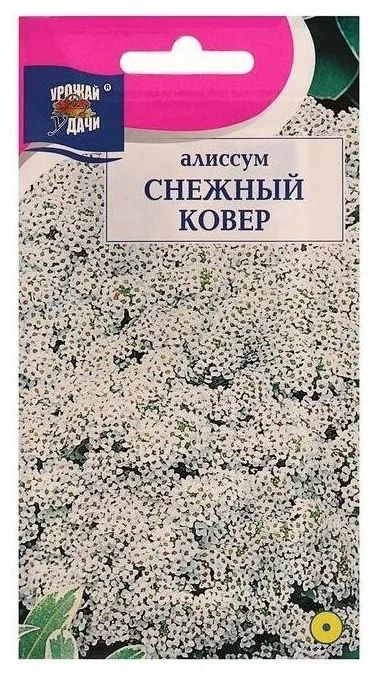 Семена алиссум Урожай удачи Снежный ковер 6482005 1 уп.