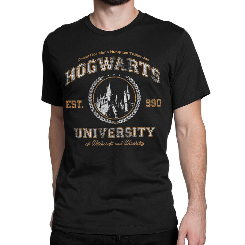 

Футболка мужская Dream Shirts Университет Хогвартса 10006922 черная S, Университет Хогвартса 10006922