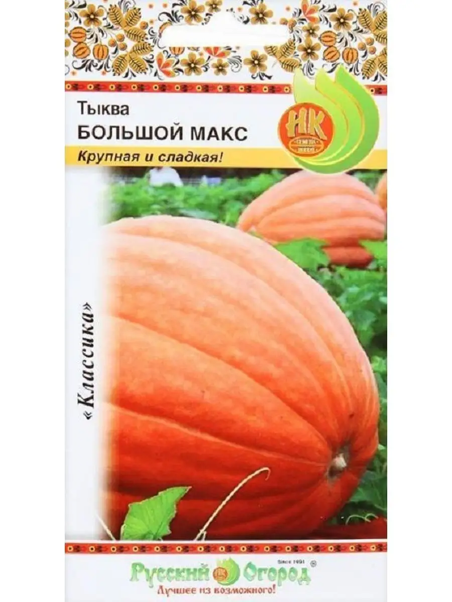 

Семена тыква Русский Огород Большой Макс arti001-psams4119 1 уп.