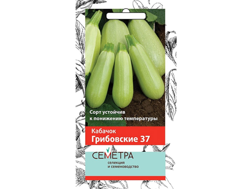 Семена кабачок Семетра Грибовские-37 693637 1 уп.