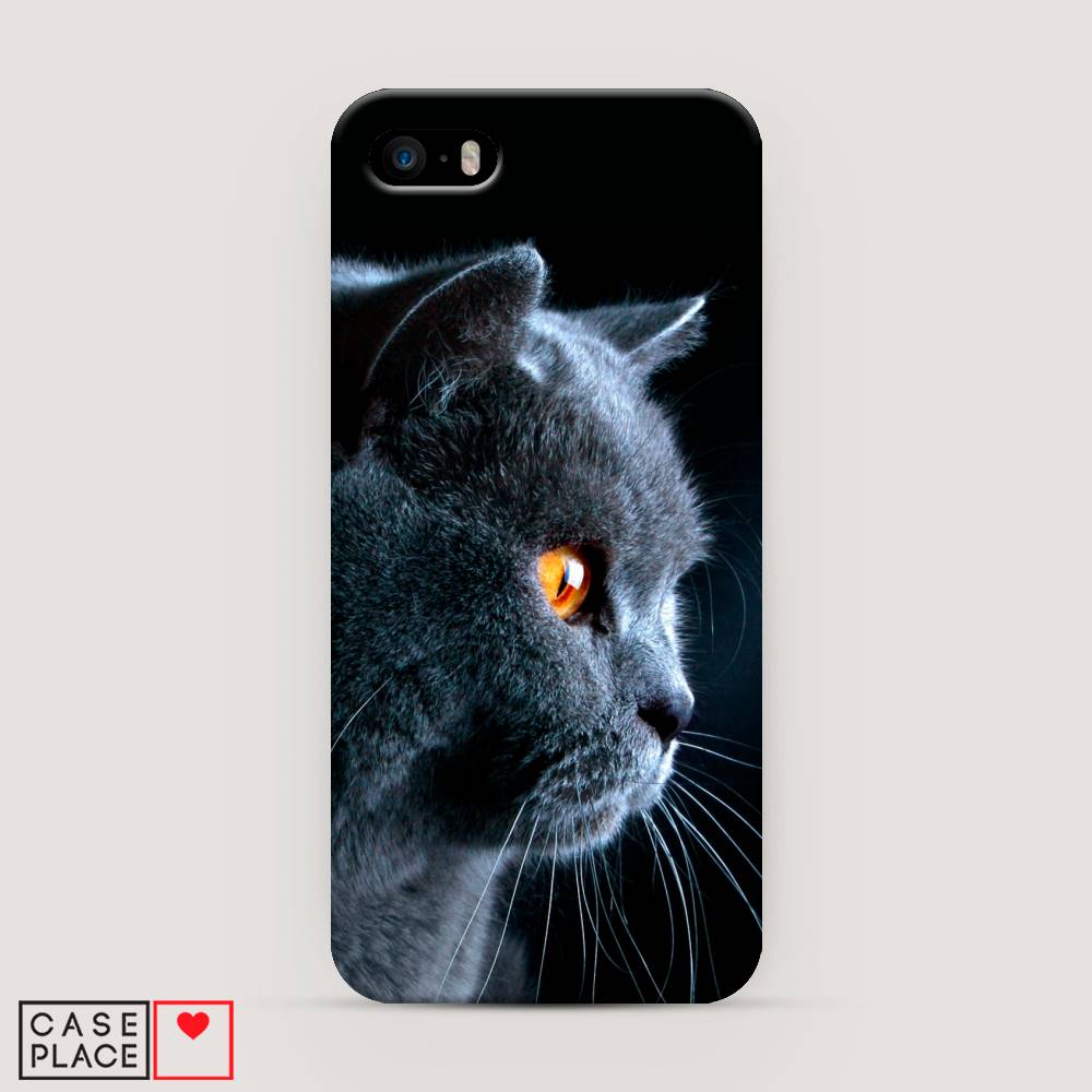

Пластиковый чехол "Благородный кот британец" на Apple iPhone 5, 10320-1