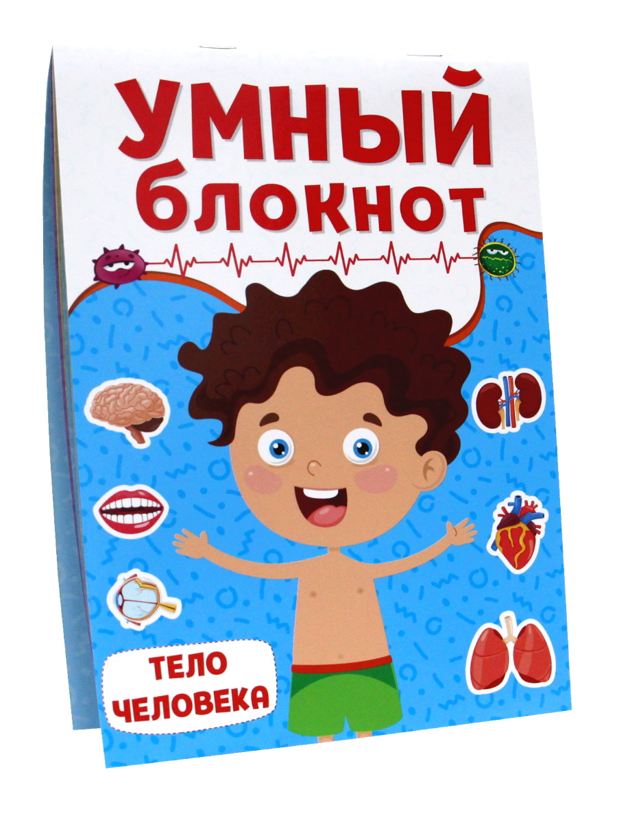 

Блокнот с заданиями Проф-Пресс Тело человека, 32 страницы