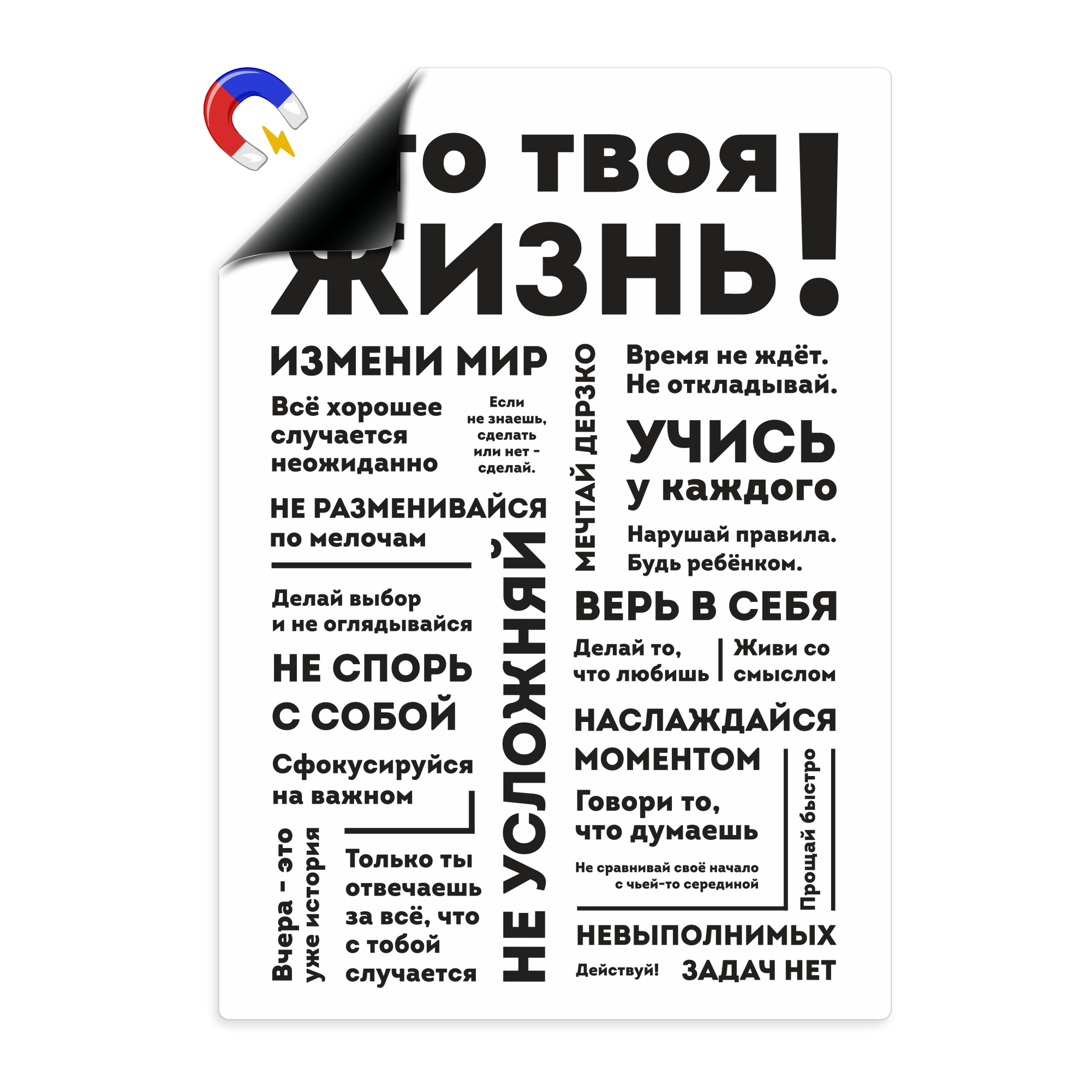 

Магнитный плакат Выручалкин, Это твоя жизнь, А4, mt023