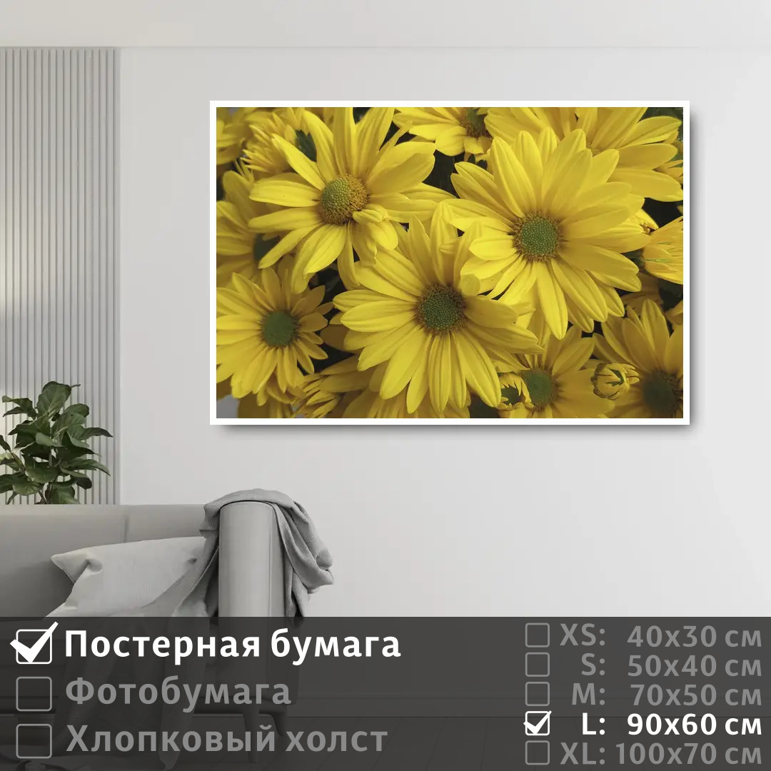 

Постер на стену ПолиЦентр Желтые цветки хризантемы 90х60 см, ЖелтыеЦветкиХризантемы