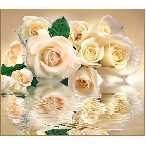 фото Фотообои тула vip белые розы 294/260 12 листов vostorg collection