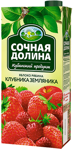 Напиток сокосодержащий Сочная Долина яблоко-черноплодная рябина-клубника-земляника 950 мл 128₽