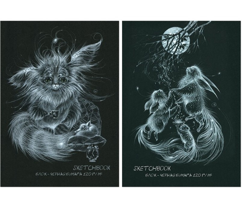 

Блокнот А5, 20 л. Sketchbook black, обложка мелованный картон, чёрный блок 120 г/м2, МИКС