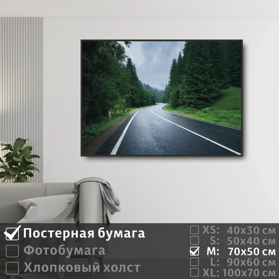 

Постер на стену ПолиЦентр Дорога лес в тумане 70х50 см, ДорогаЛесВТумане