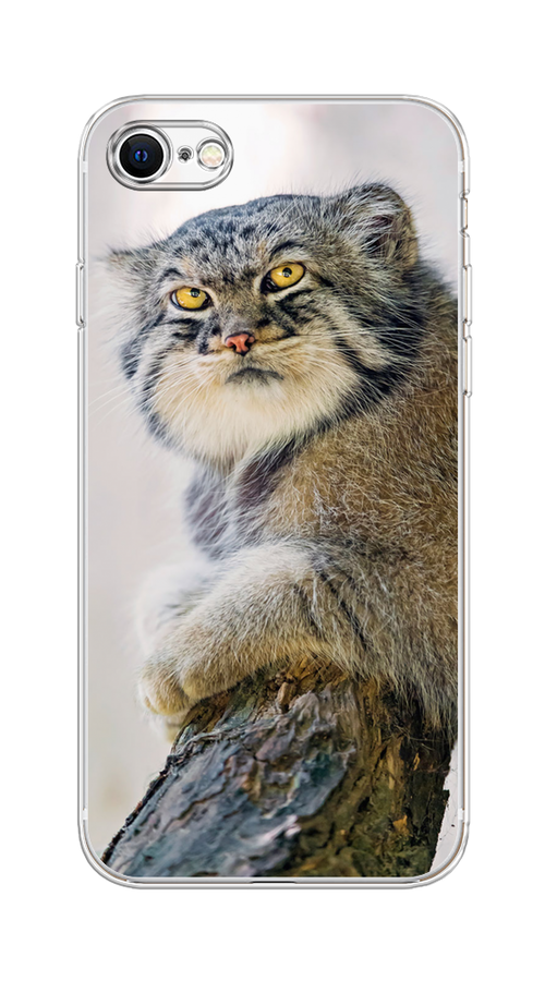 

Чехол на Apple iPhone 7/8/SE 2020/SE 2022 "Кот манул 1", Серый;белый;желтый, 10650-1