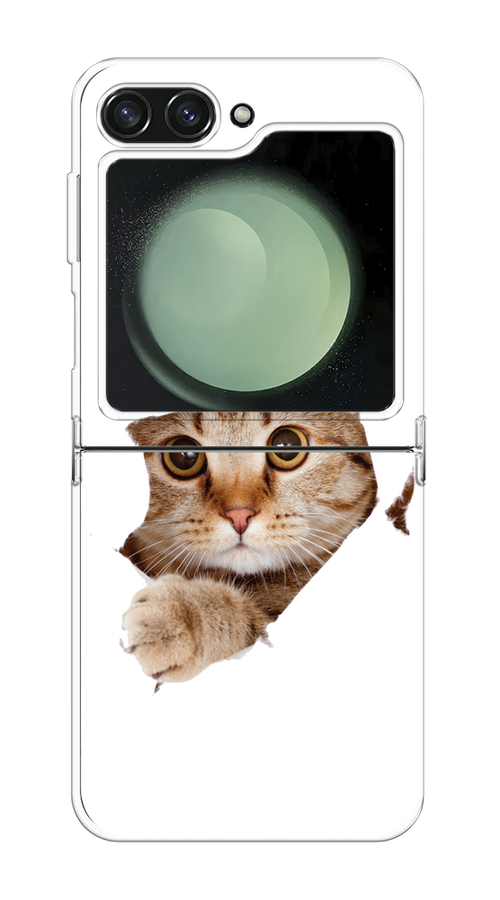 

Чехол на Samsung Galaxy Z Flip 6 "Кот и бумага", Белый;коричневый, 2109750-1