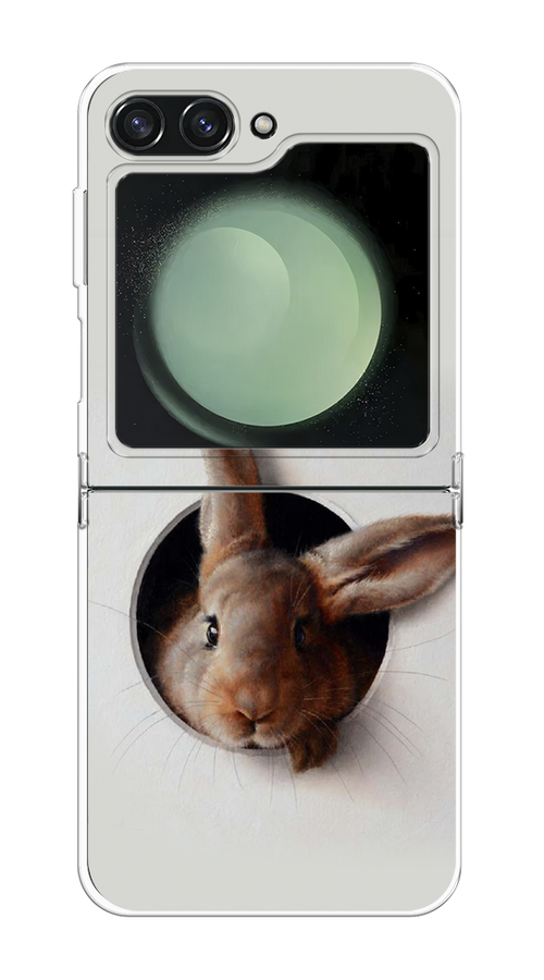 

Чехол на Samsung Galaxy Z Flip 6 "Любопытный кролик", Серый;коричневый, 2109750-1