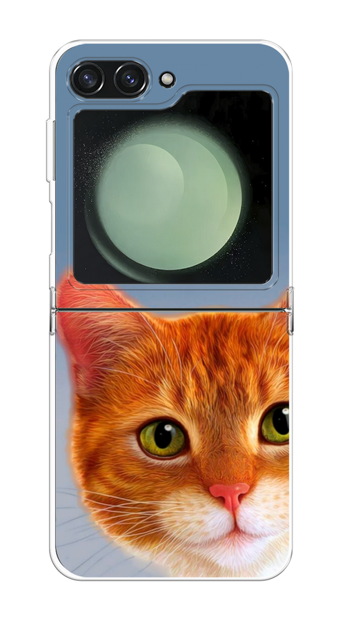 

Чехол на Samsung Galaxy Z Flip 6 "Любопытный котик", Коричневый, 2109750-1