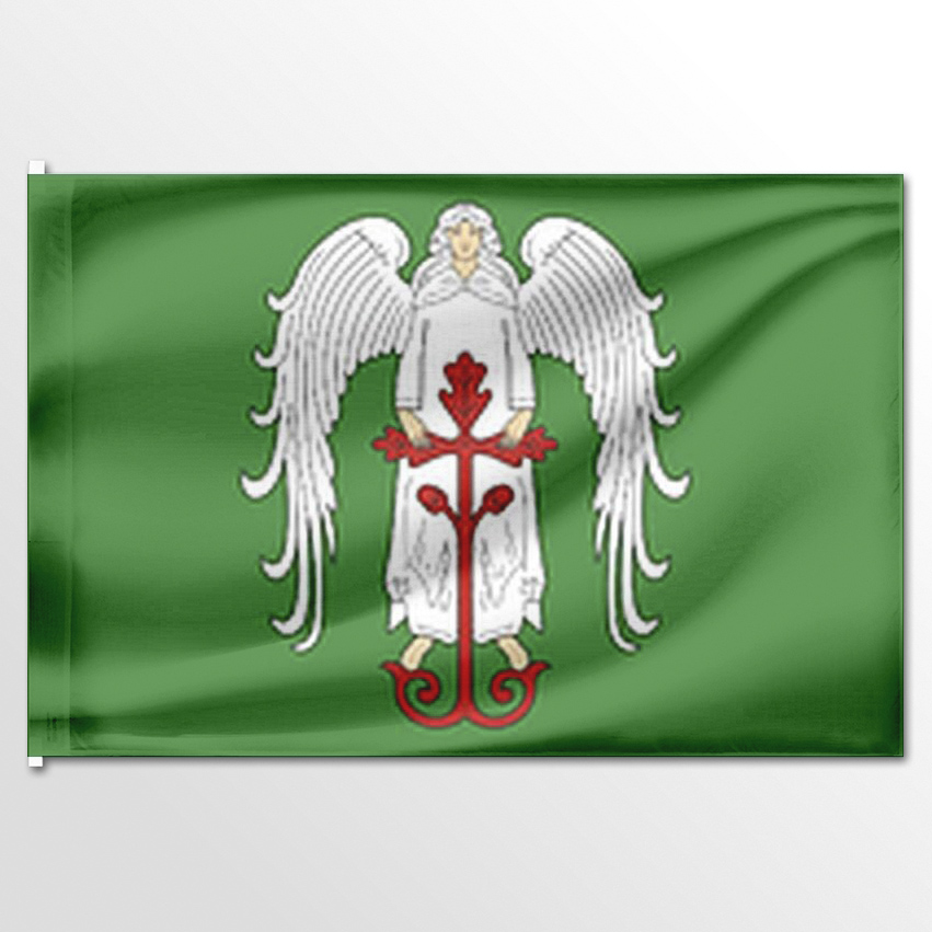 

Флаг ЦТП ФЕНИКС Яндобинского сельского поселения 135x90 см, 7397-135x90