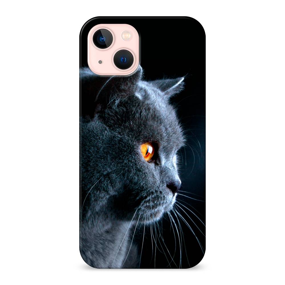 

Пластиковый чехол "Благородный кот британец" на Apple iPhone 13, 14220-1