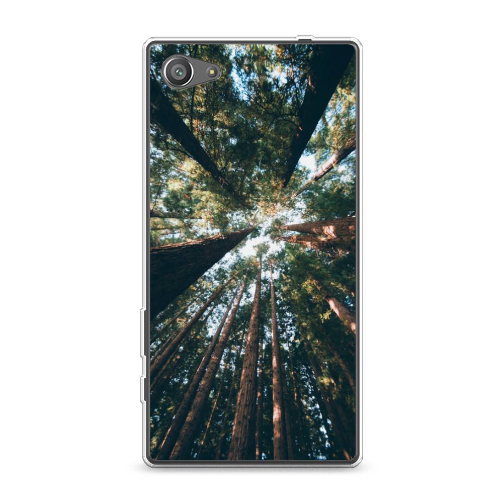 

Чехол Awog на Sony Xperia Z5 compact "Лес 18", Разноцветный, 52250-4