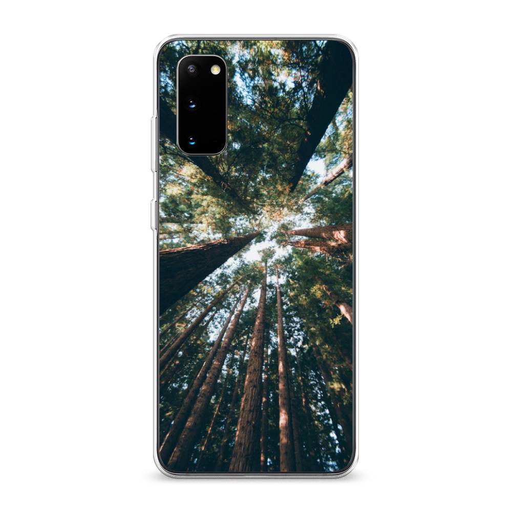 

Чехол Awog на Samsung Galaxy S20 "Лес 18", Разноцветный, 29250-4
