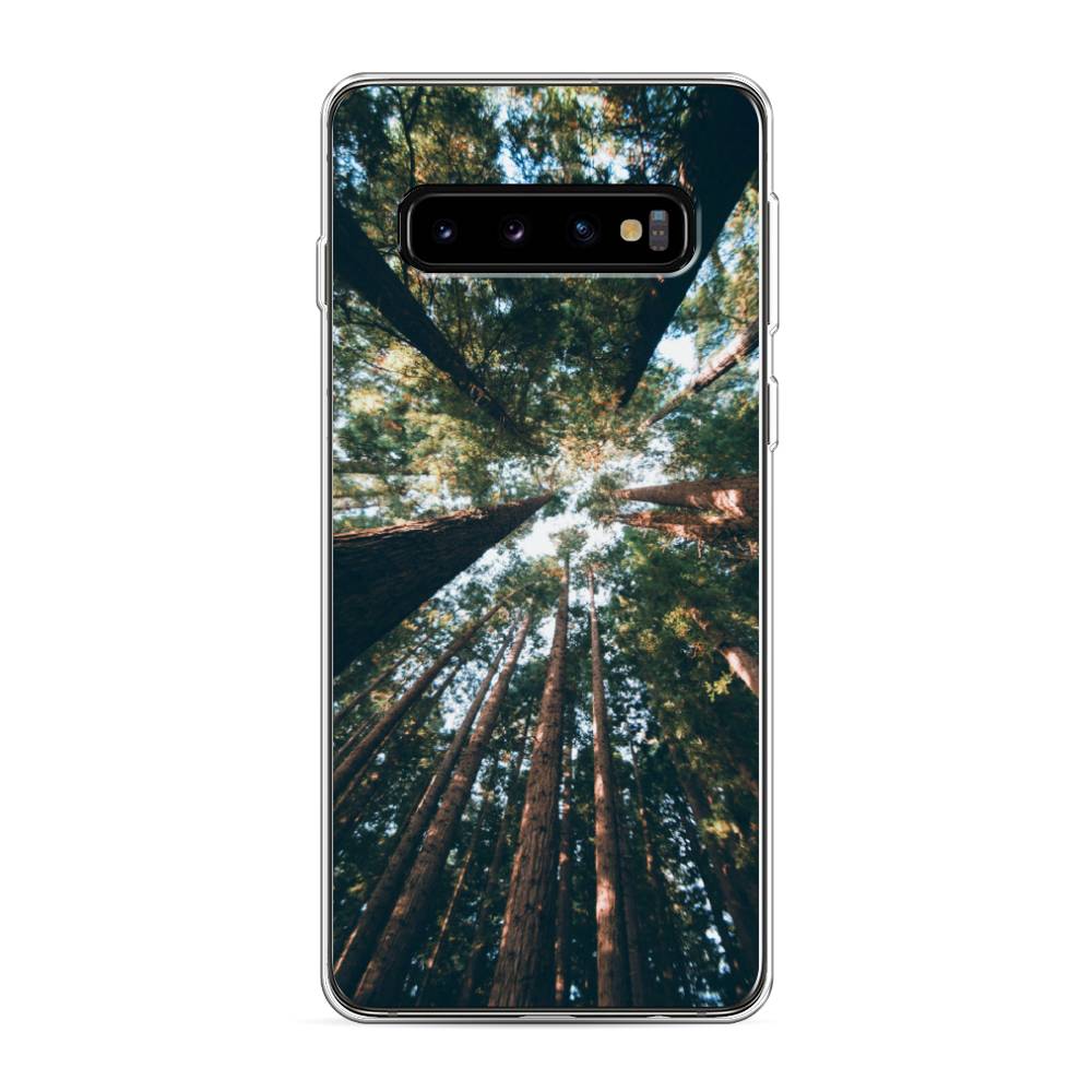 

Чехол Awog на Samsung Galaxy S10 "Лес 18", Разноцветный, 27050-4