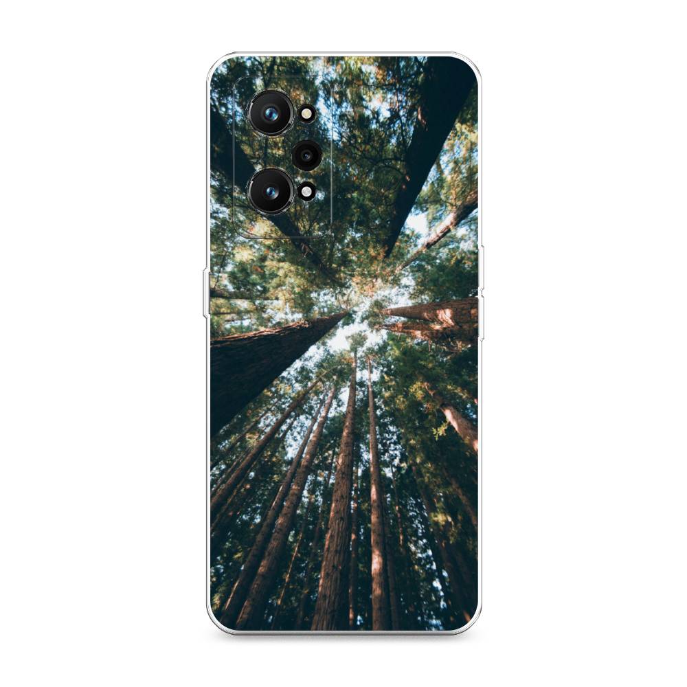 

Чехол Awog на Realme GT Neo 3T "Лес 18", Разноцветный, 2510750-4