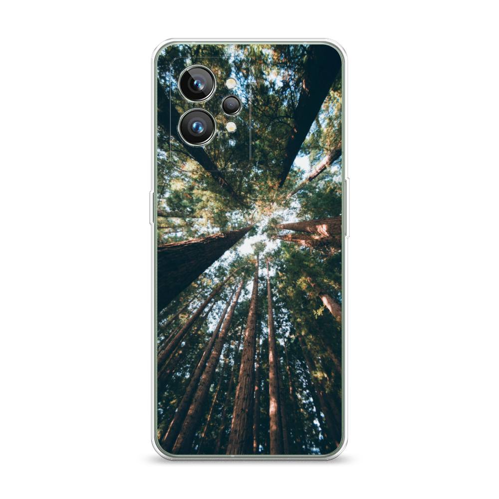 

Чехол Awog на Realme GT 2 Pro "Лес 18", Разноцветный, 258650-4