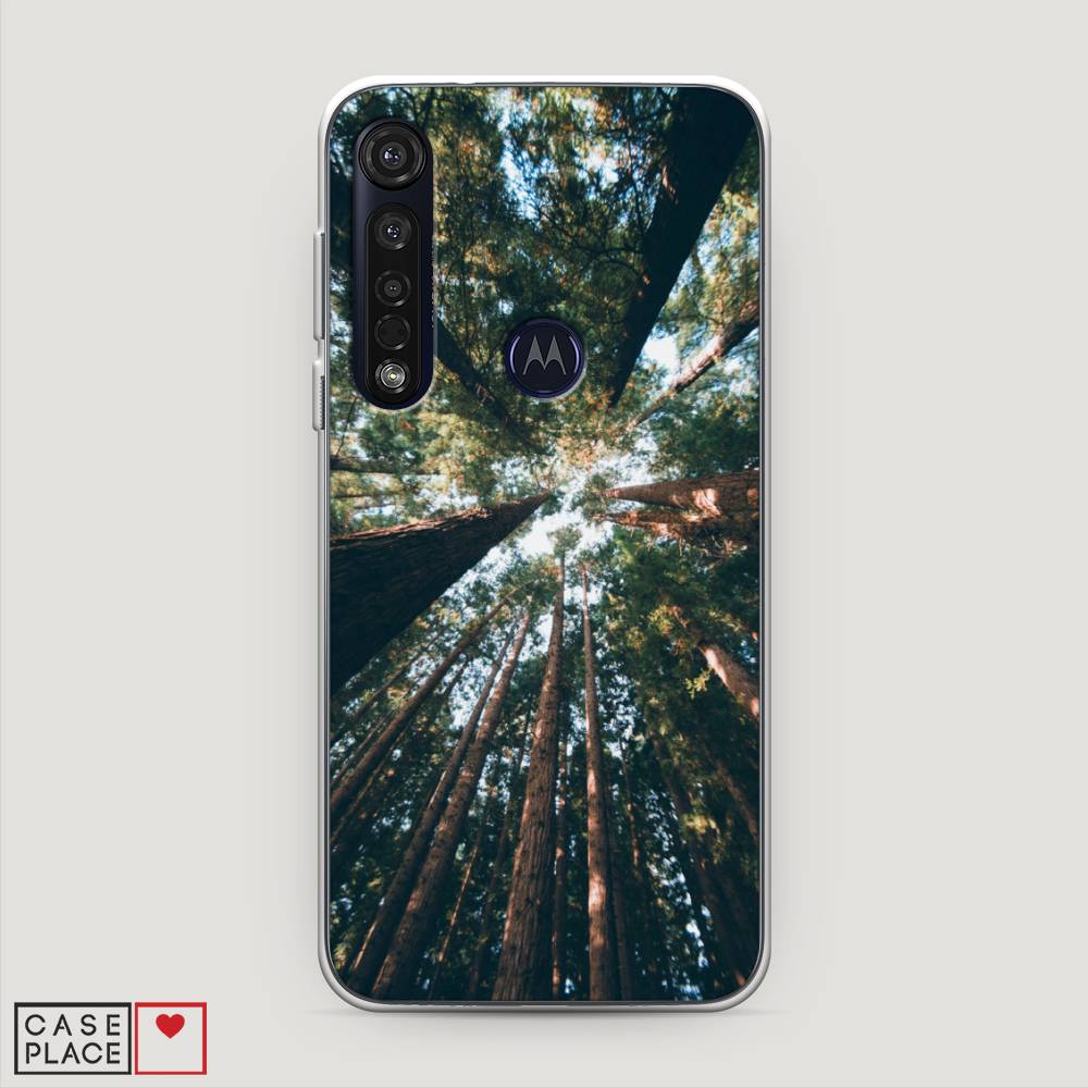 

Чехол Awog на Motorola Moto G8 Plus "Лес 18", Разноцветный, 241450-4