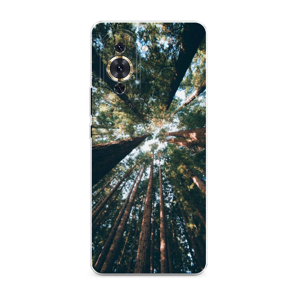 

Чехол Awog на Huawei Nova 10 Pro "Лес 18", Разноцветный, 6109050-4
