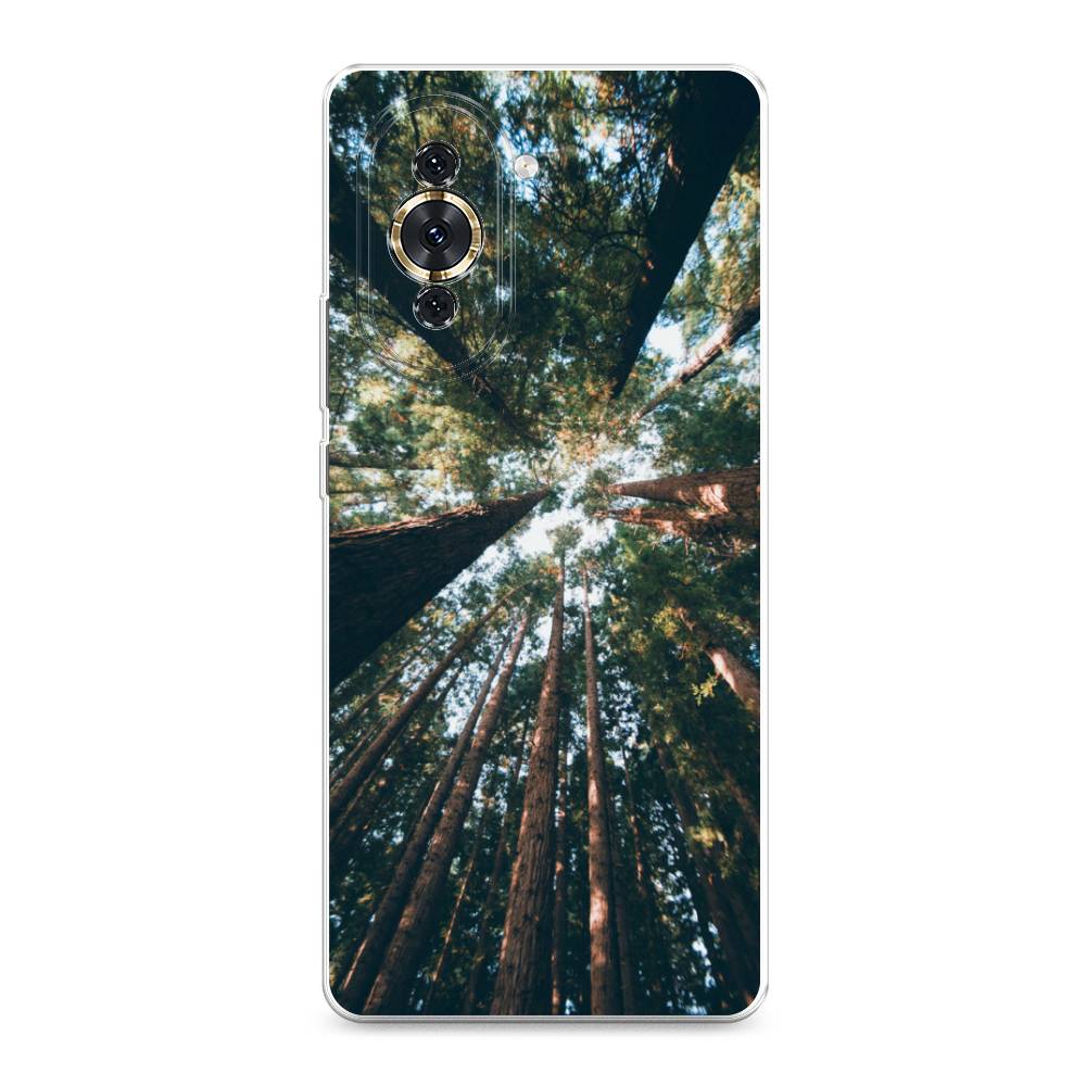 

Чехол Awog на Huawei Nova 10 "Лес 18", Разноцветный, 6108950-4