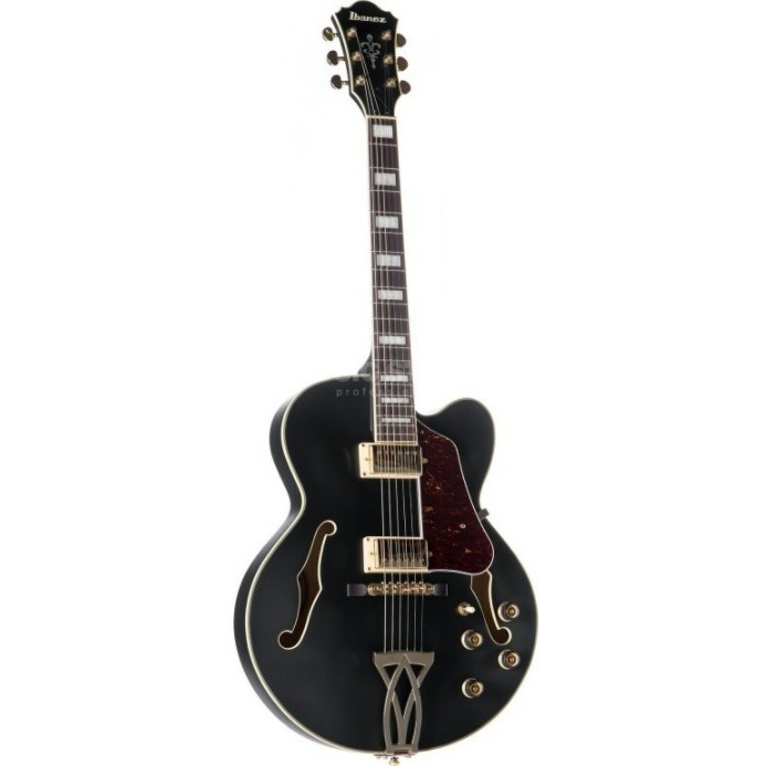 

Гитара полуакустическая IBANEZ AF75G-BKF, AF75G-BKF