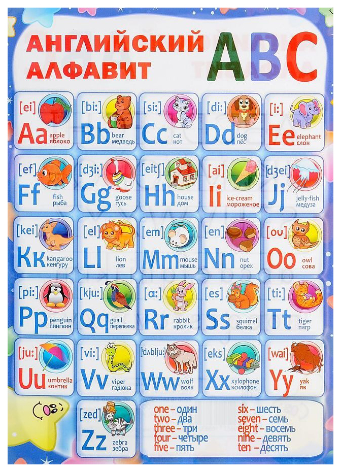 

Английский алфавит. Плакат ламинированный двусторонний