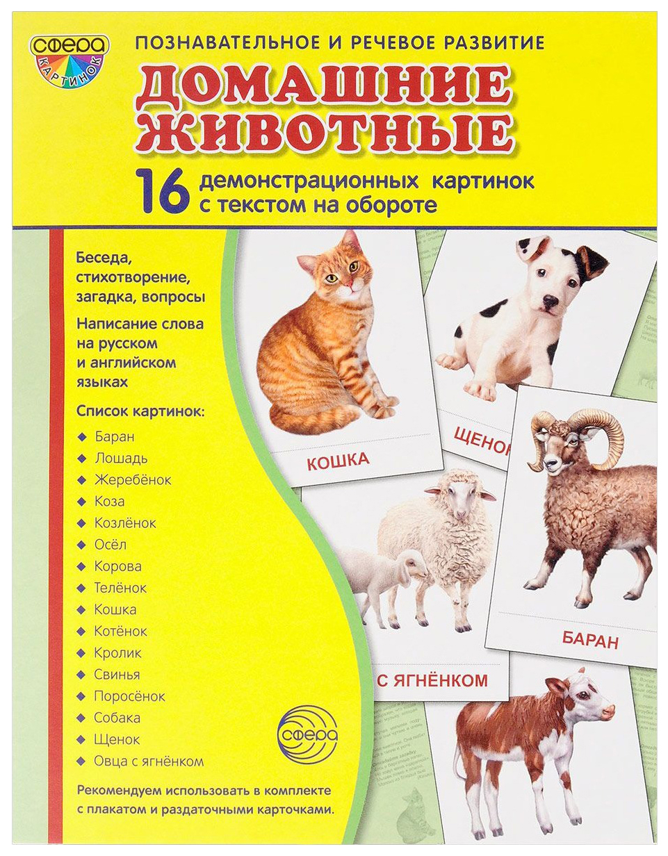 Домашние животные в квартире список. Наглядное пособие домашние животные. Демонстрационный материал домашние животные. Демонстрационные карточки домашние животные. Демонстративный материал домашние животные.