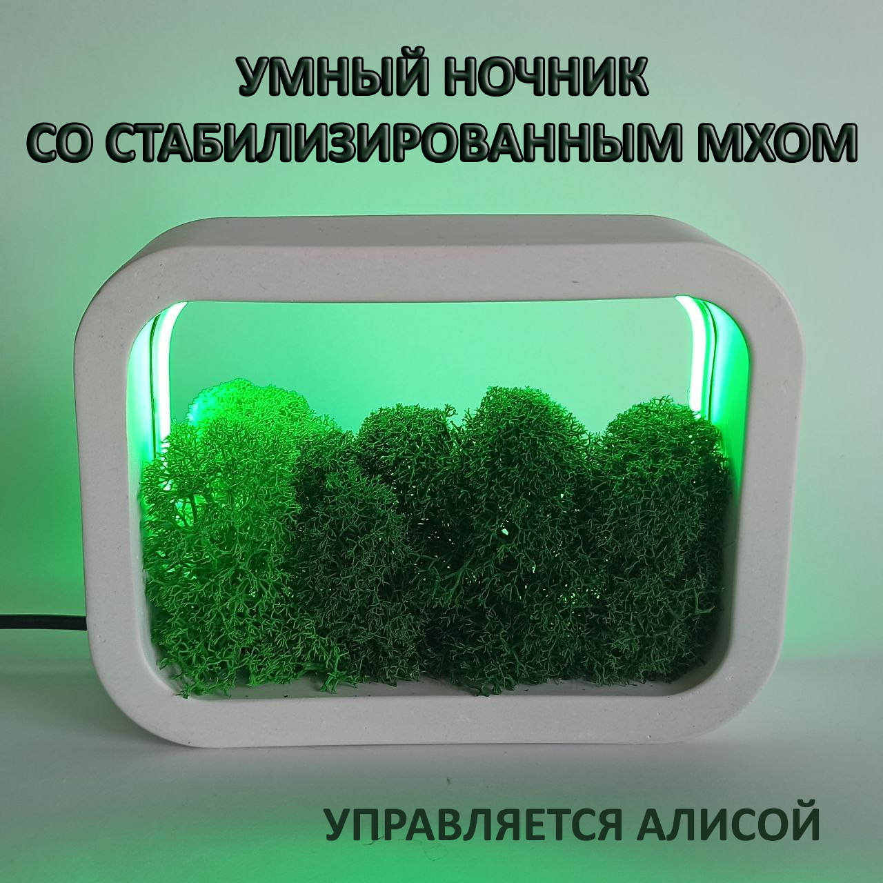 

Ночник NoBrand Цветная подсветка алиса.rgb-белый, Цветная подсветка