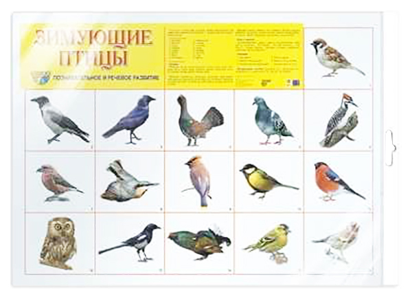 

Плакат А2 "Зимующие птицы" (в пакете)