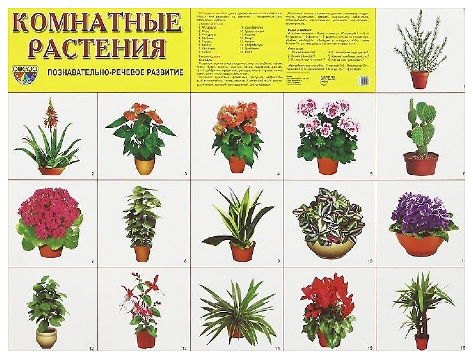 

Комнатные растения. Демонстрационный плакат
