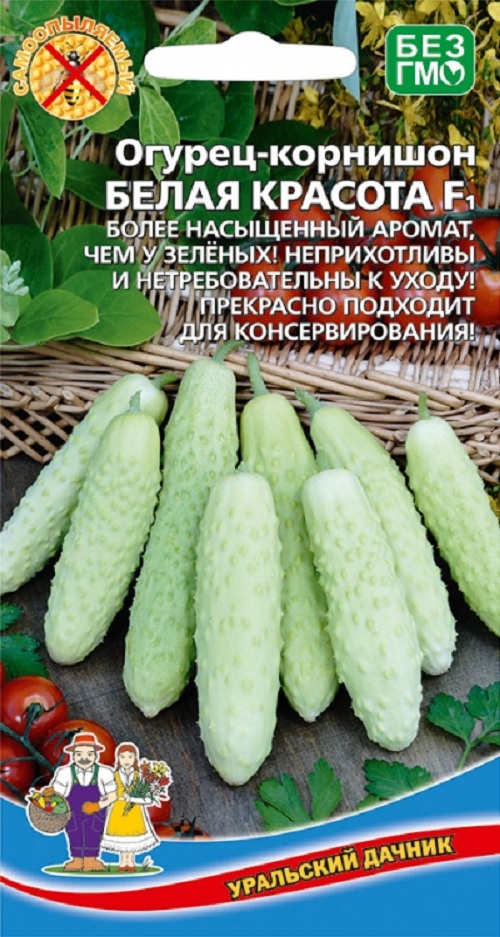 

Семена огурец Белая красота Уральский дачник 31168 1 уп.