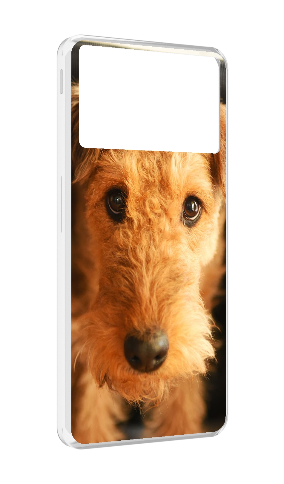 

Чехол MyPads эрдельтерьер для ZTE Nubia Z40S Pro, Прозрачный, Tocco