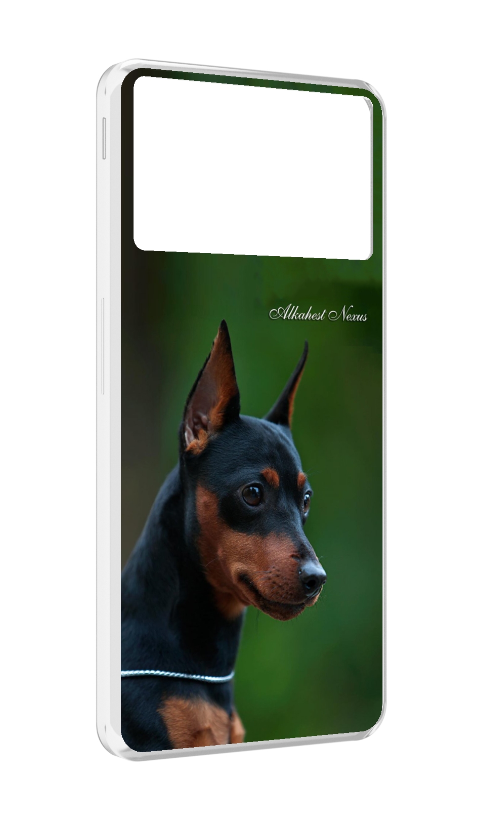 

Чехол MyPads цвергпинчер черпинчер для ZTE Nubia Z40S Pro, Прозрачный, Tocco