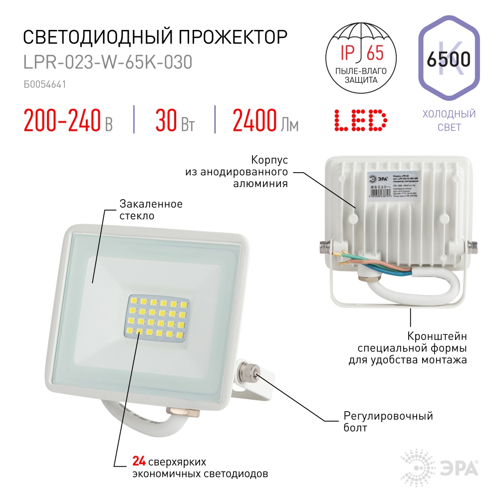 Прожектор светодиодный уличный Эра LPR-023-W-65K-030 (Б0054641)