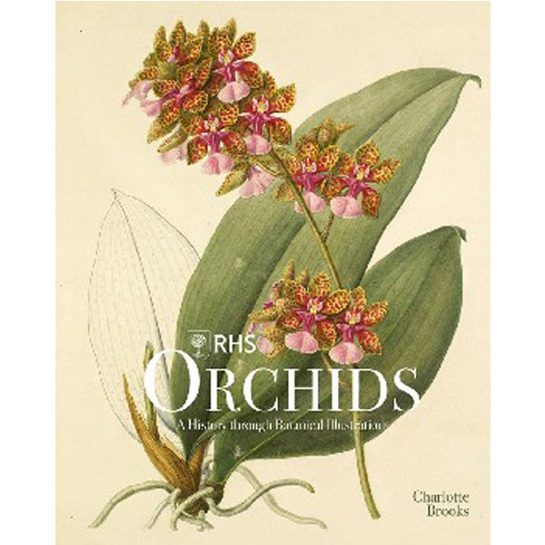 

RHS Orchids / Brooks, Charlotte