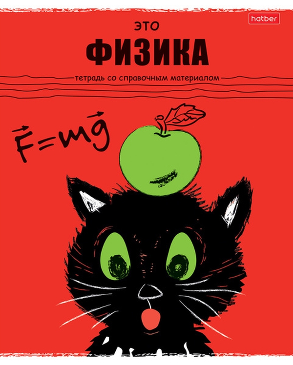 

Тетрадь предметная 48л А5ф Со.справ.инф..Клетка,обл.мел.карт Черный кот ФИЗИКА