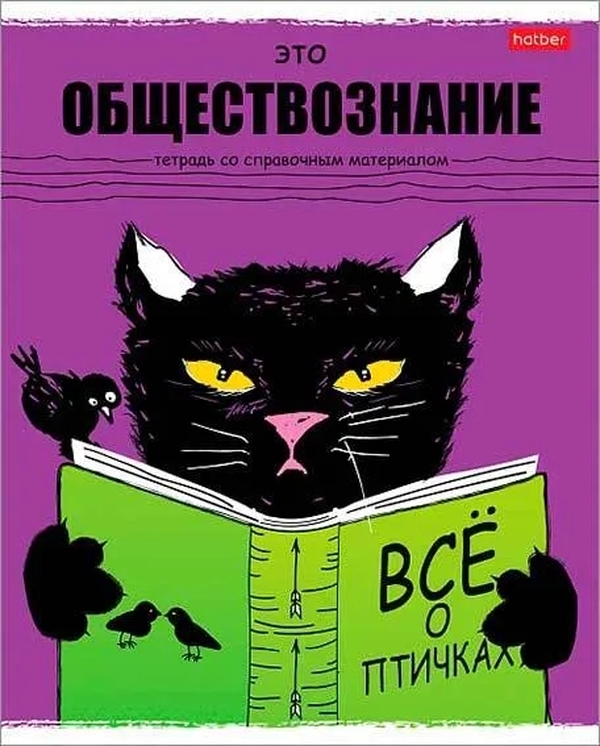 

Тетрадь предметная. 48л А5ф Со.справ.инф..Клетка,обл.мел.карт. Черный кот Обществознание