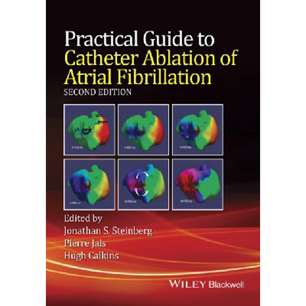 

Practical Guide to Catheter Ablation of Atrial Fibrillation / Jonathan Steinberg,Pie...