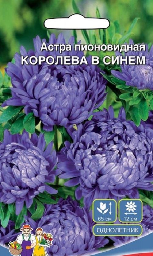 Семена цветов Уральский дачник Астра пионовидная Королева гигантов в синем 26957 1 уп