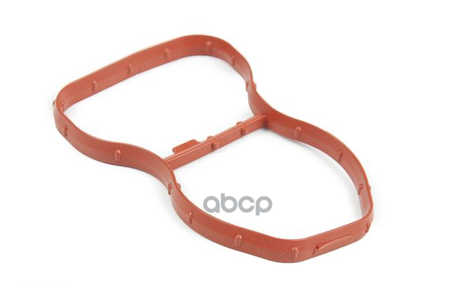 

Прокладка Впускного Коллектора Bmw 11 61 7 807 480 BMW арт. 11 61 7 807 480