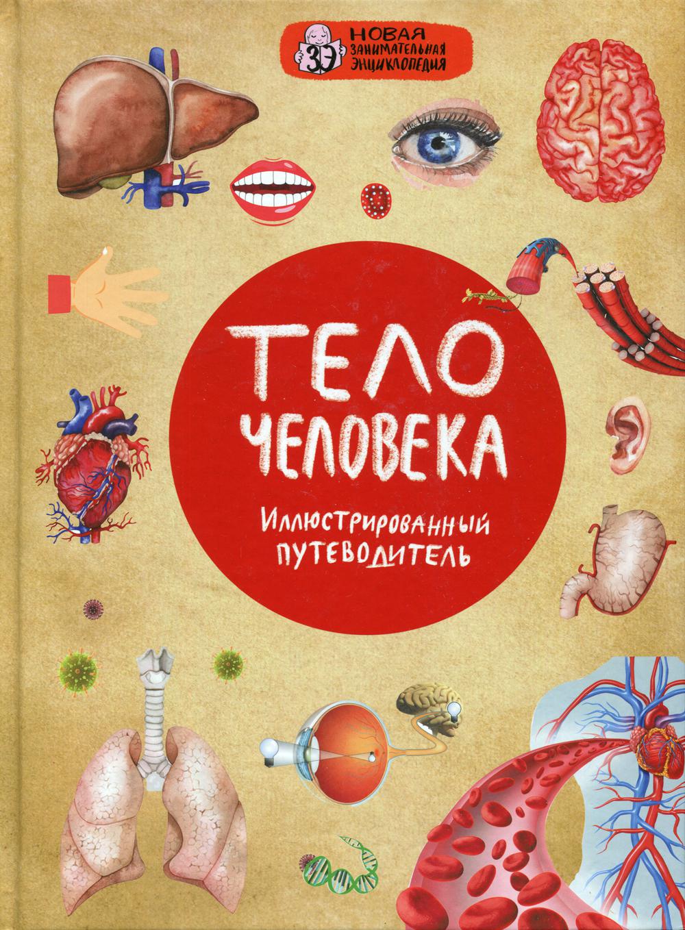 

Тело человека